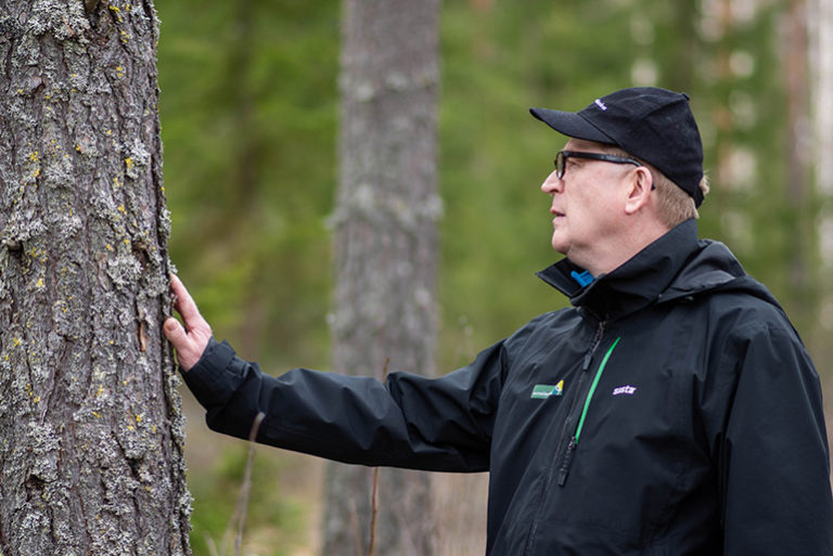 Metsätilarakenteen asiantuntija Esa Lappalainen Metsäkeskus.