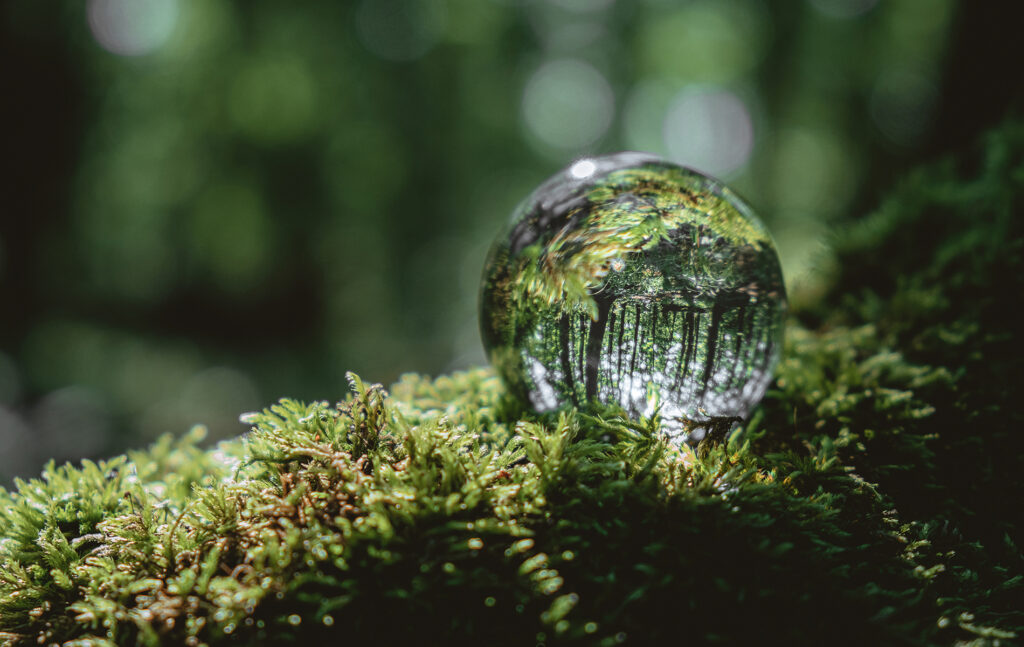 Lasipallo metsässä sammaleen päällä.