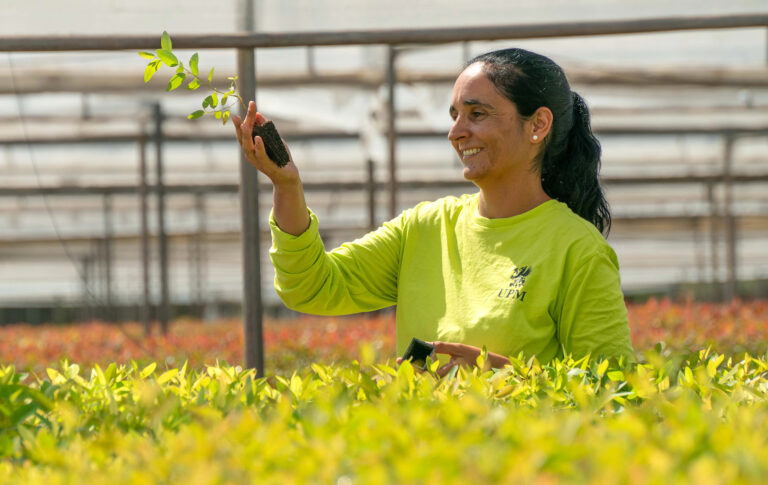 Naishenkilö pitää kädessään puuntaimenta.
