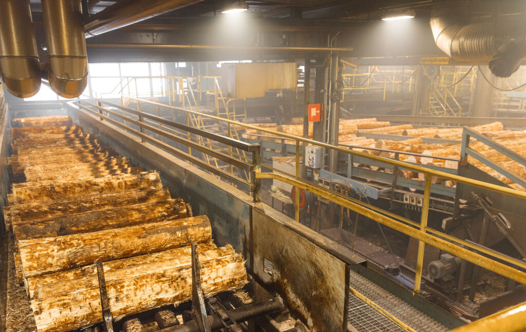 Tukkeja kulkemassa viilun valmistuslinjastolla.