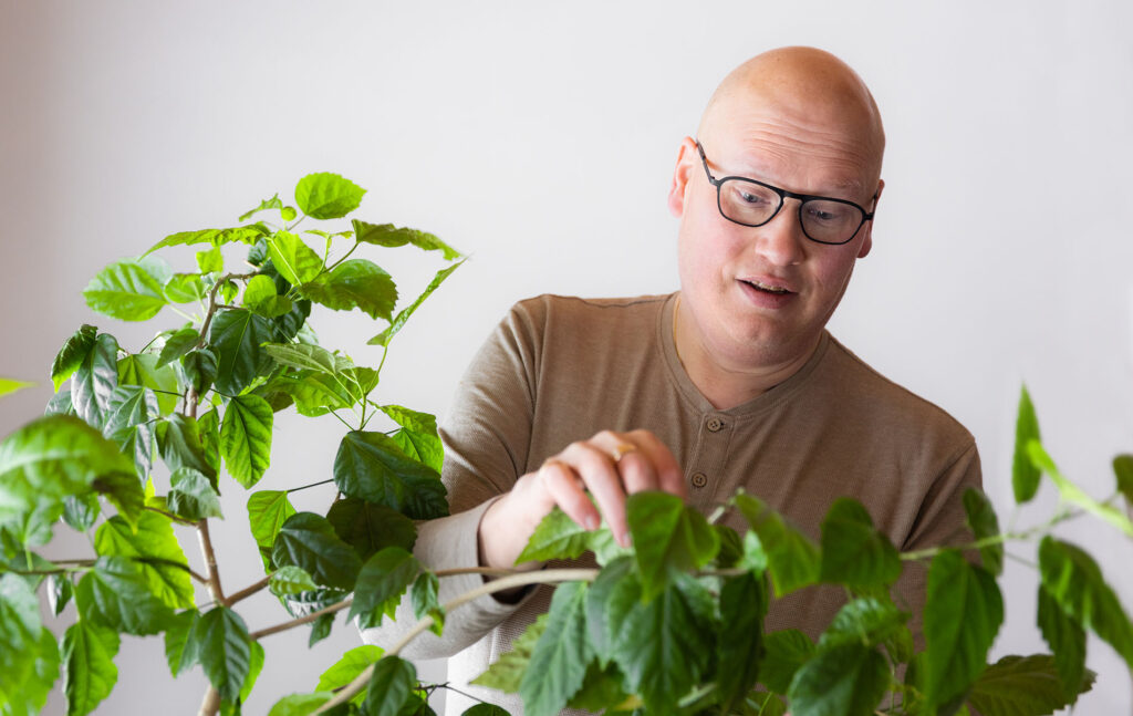 Mikko Syrjäläinen hoitaa kiinanruusua.